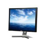 Dell Monitor E196FPf